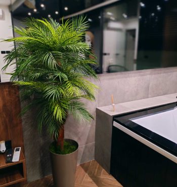 viber_image_2026-03-10_10-35-22-227